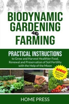 Healing the Earth: A Practical Guide to Biodynamic Gardening in Colombia - an Ode to Nature's Symphony and a Testament to Sustainable Living